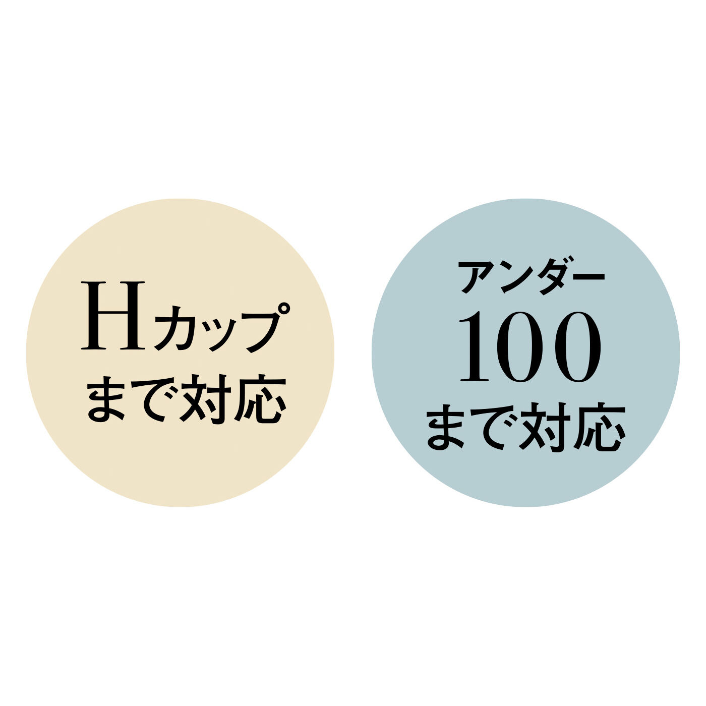 WEB限定お買い得商品|大きい胸さんの薄くて軽くて羽衣心地 繊細に整えるブラ〈8〉