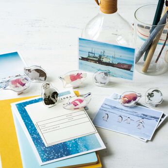 Real Stock | 国立極地研究所コラボ南極猫たけしクリップ