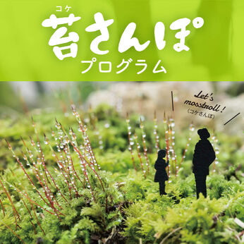 Real Stock | 歩いて撮って異世界探訪コケさんぽプログラム