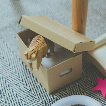 MonthlyBOX | ほんのき小さな段ボールケース