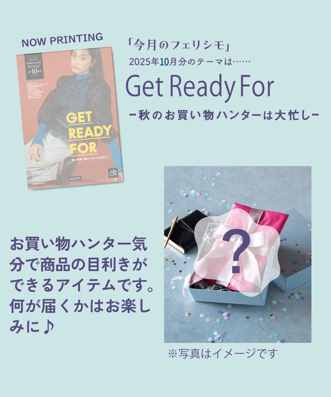 フェリシモコレクション|定期便のテーマにあわせて楽しむ特別アイテム　テマコバコ