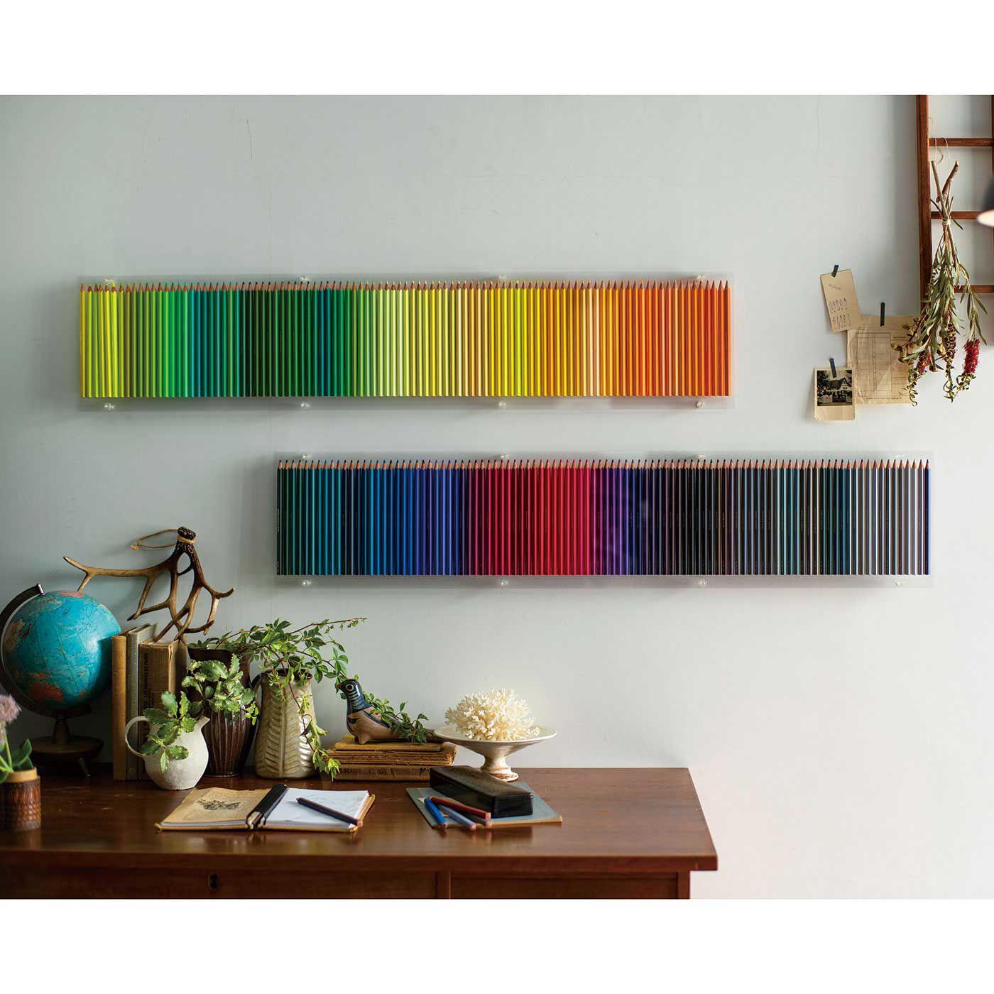 フェリシモコレクション|500色の色えんぴつ　TOKYO SEEDS