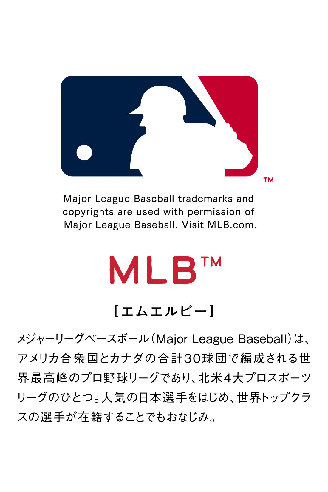 IEDIT|IEDIT[イディット]　オリジナルMLBデザイン ダークカラーでシックにきまる大人のゆるスウェット〈ブラック〉