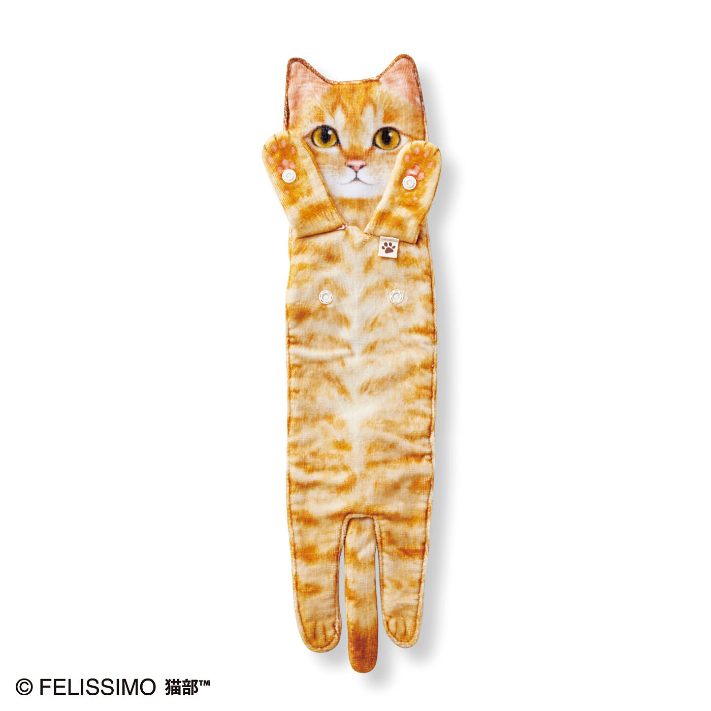 猫部|こんなに伸びるの！？なが～い猫タオルの会