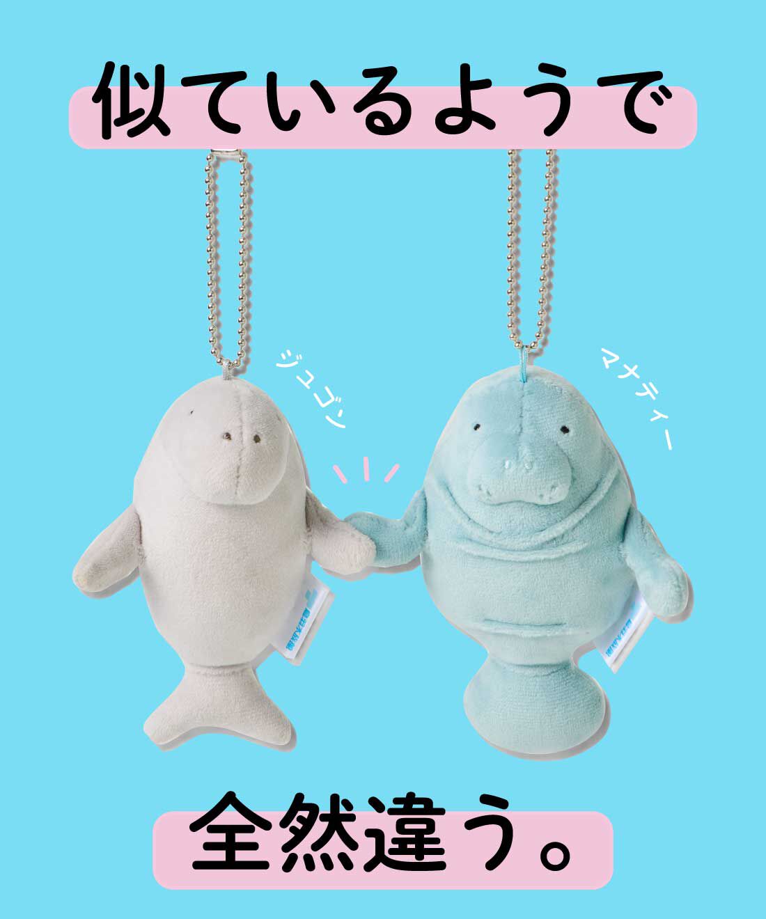 YOU＋MORE！［ユーモア］|YOU＋MORE!　ジュゴンとマナティーのなかよしマスコットセット