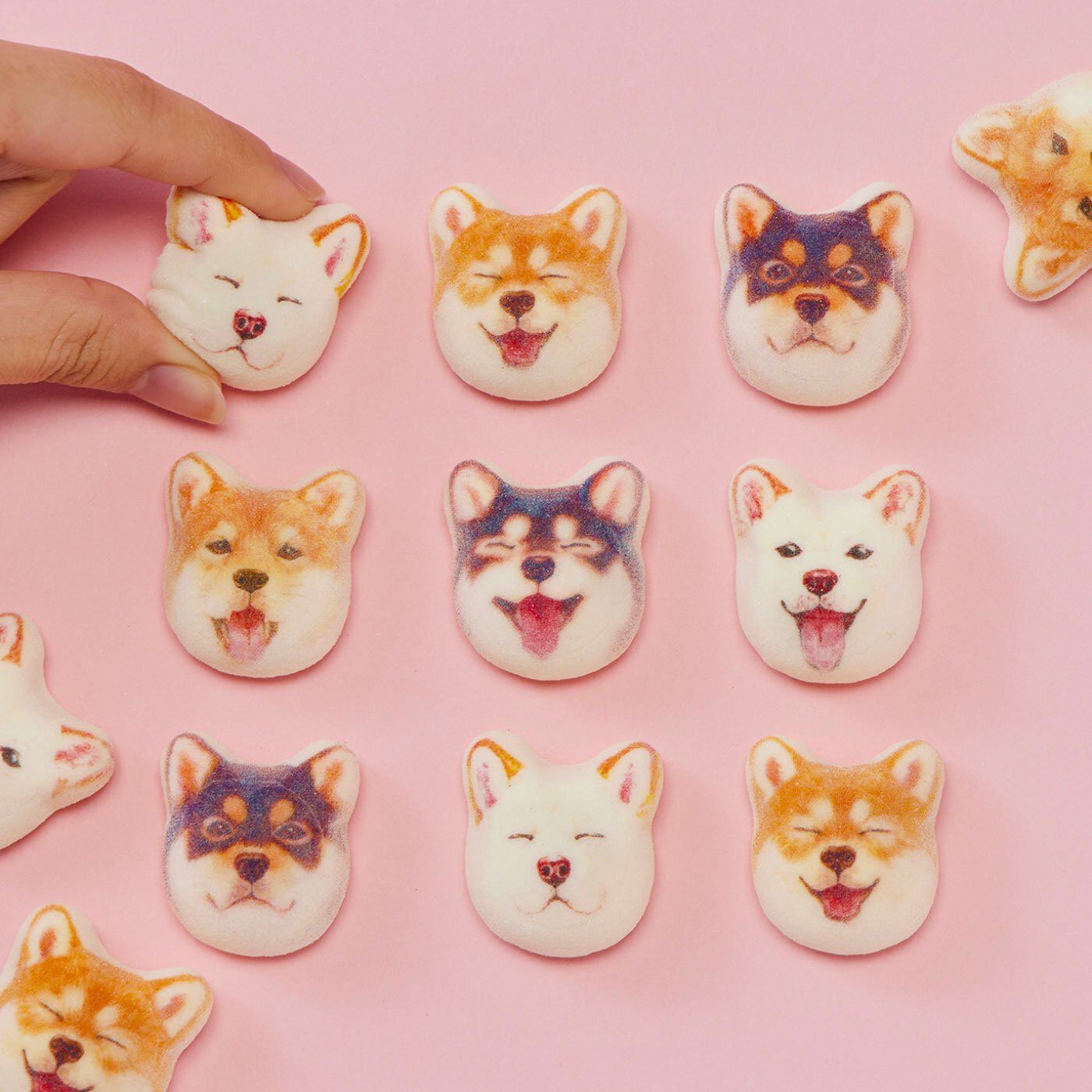 YOU＋MORE！［ユーモア］|YOU+MORE!　食べられないかわいさミニ和風マシュマロ柴犬ほうずい〈チョコ餡〉15個入り