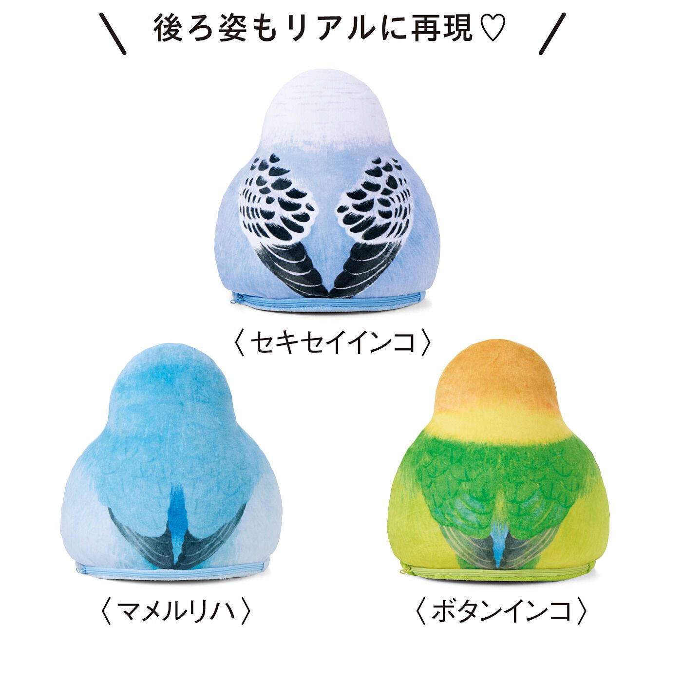 YOU＋MORE！［ユーモア］|YOU＋MORE!×小鳥部　もっちりかわいい　ふっくらインコクッションの会