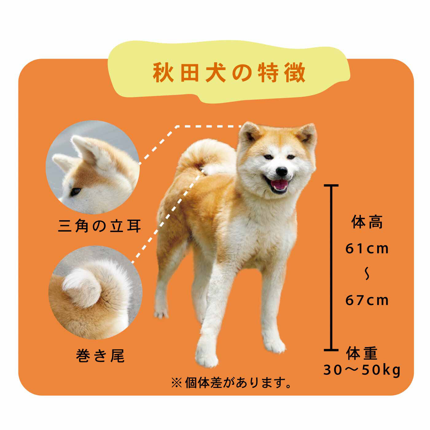 YOU＋MORE！［ユーモア］|YOU+MORE!　食べられないかわいさ ミニ和風マシュマロ ハチのほうずい〈チョコ餡〉