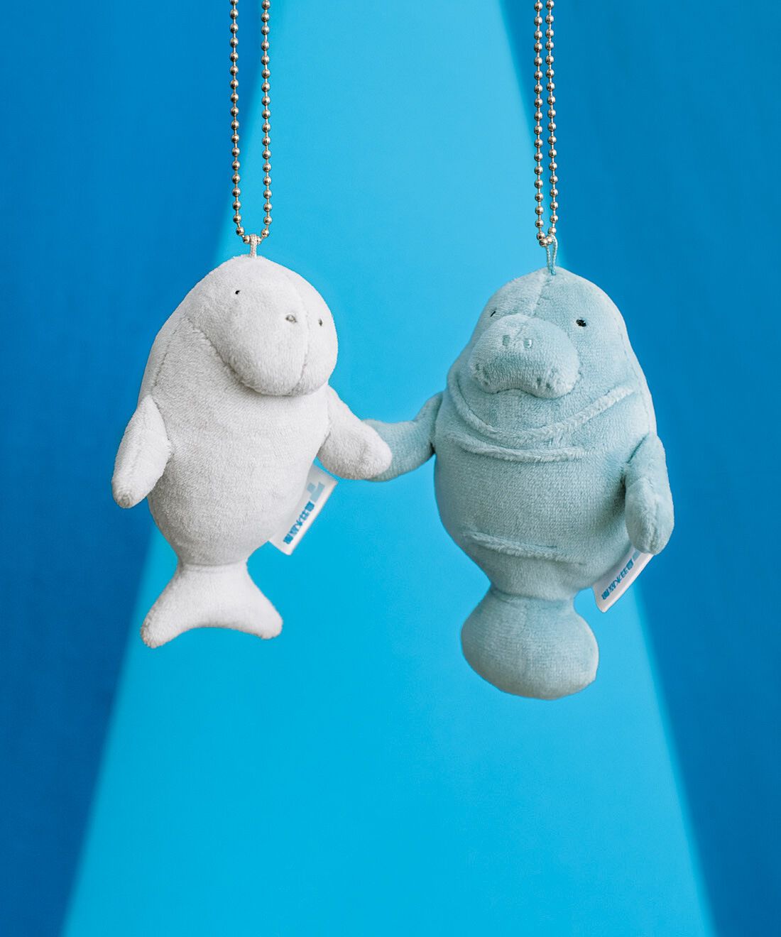 YOU＋MORE！［ユーモア］|YOU＋MORE!　ジュゴンとマナティーのなかよしマスコットセット|ジュゴンの鼻先は長く、マナティーは短いのが特徴。ジュゴンの尾びれは三日月形。マナティーの尾びれは丸みを帯びたうちわ形。
