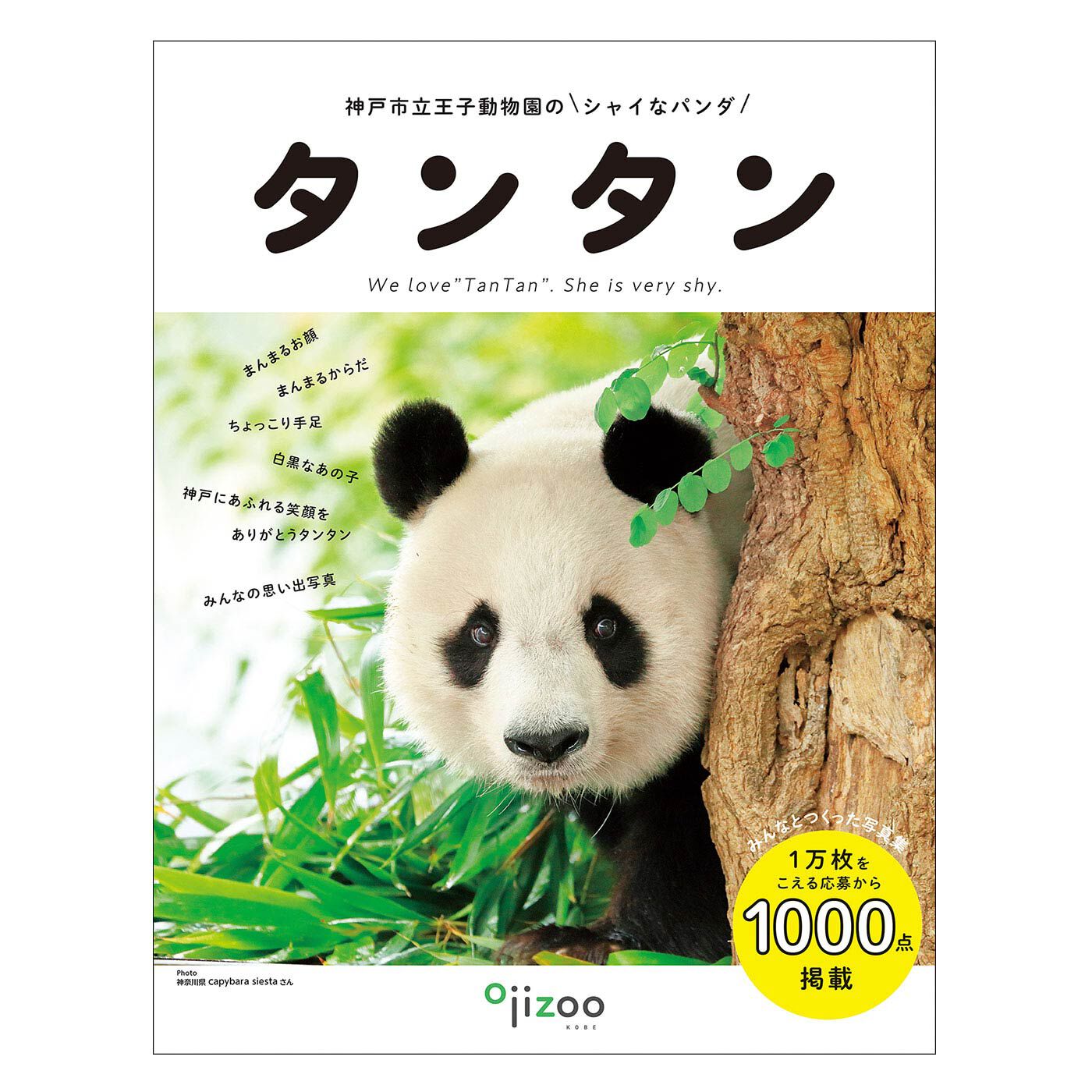 YOU＋MORE！［ユーモア］|YOU+MORE!　写真集『神戸市立王子動物園のシャイなパンダ　タンタン』
