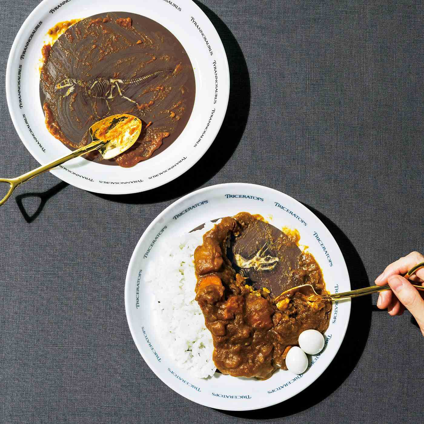 YOU＋MORE！［ユーモア］|YOU＋MORE！　食事中にまさかの発見　恐竜の化石発掘カレー皿の会
