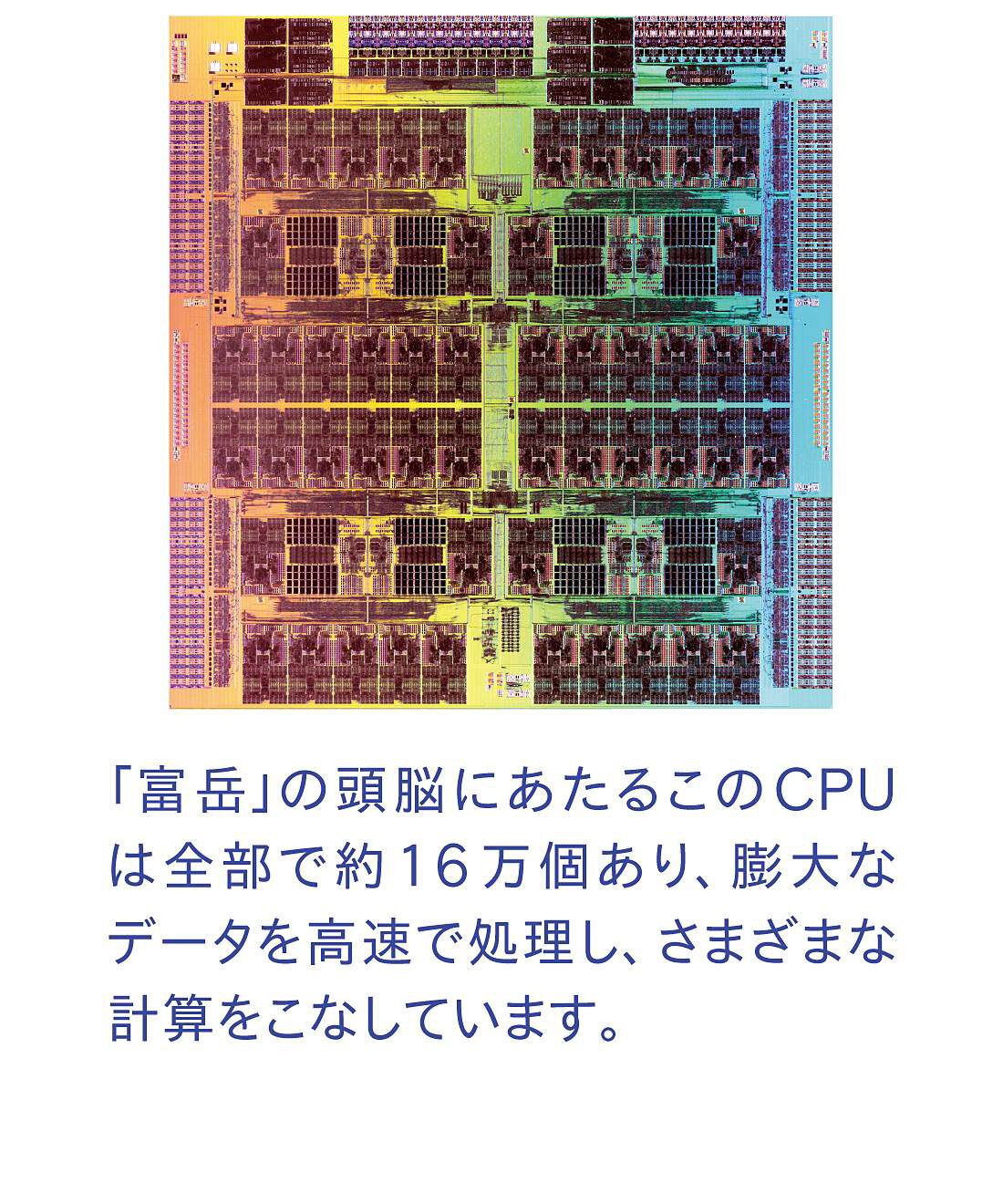 YOU＋MORE！［ユーモア］|YOU＋MORE!　スーパーコンピュータ「富岳」CPUコンパクトミラーピルケース