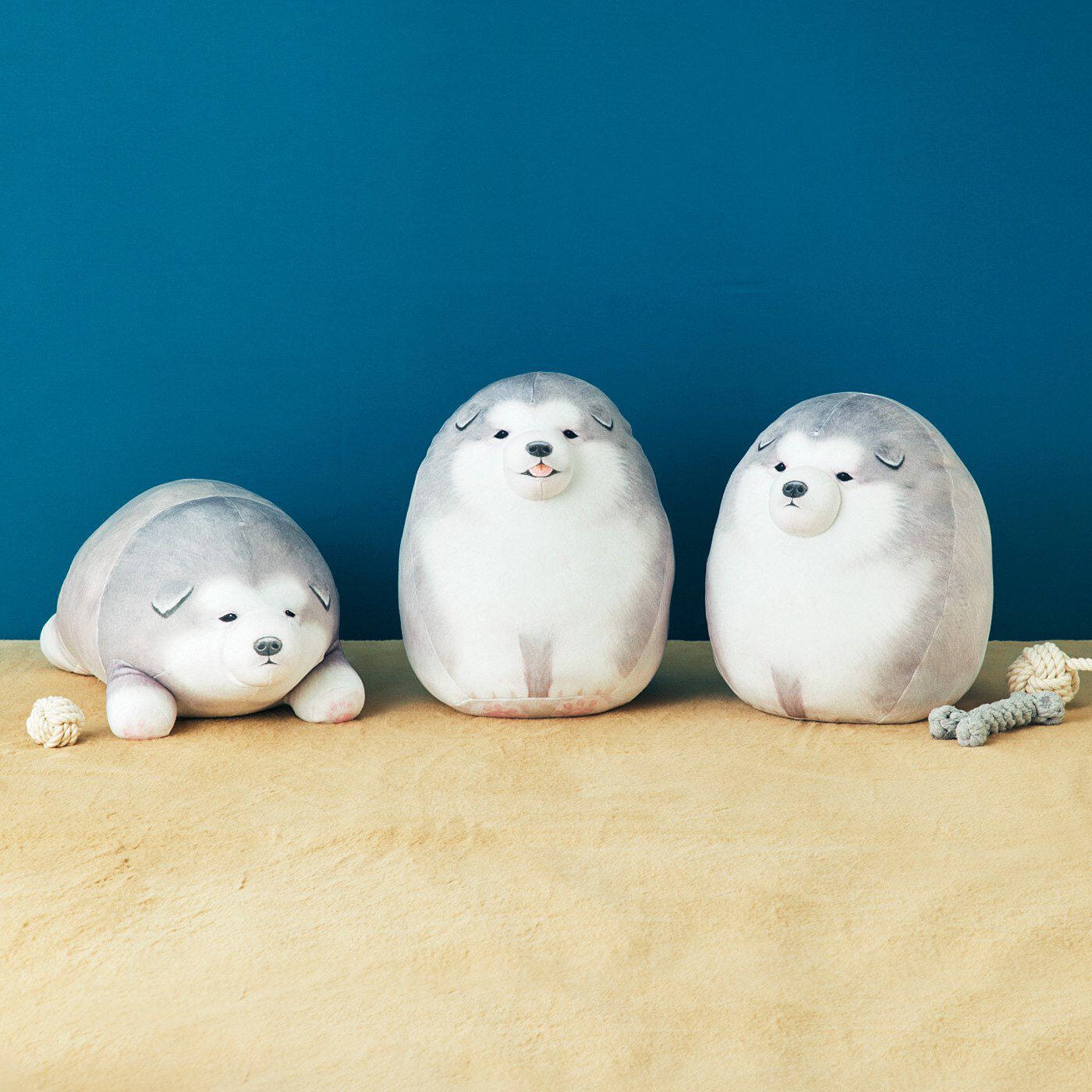 YOU＋MORE！［ユーモア］|YOU＋MORE!　まんまるころころ　アラスカンマラミュートの子犬実寸大クッションの会