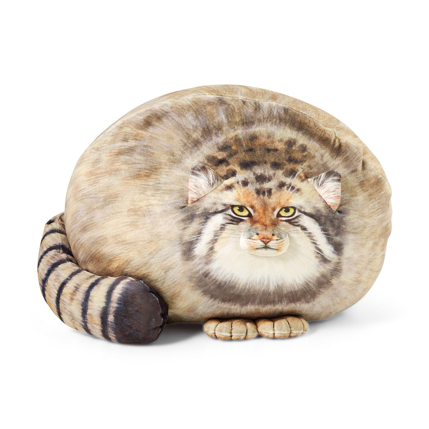 YOU＋MORE！［ユーモア］|YOU+MORE!　丸すぎる世界最古の猫 マヌルネコもっちりクッション
