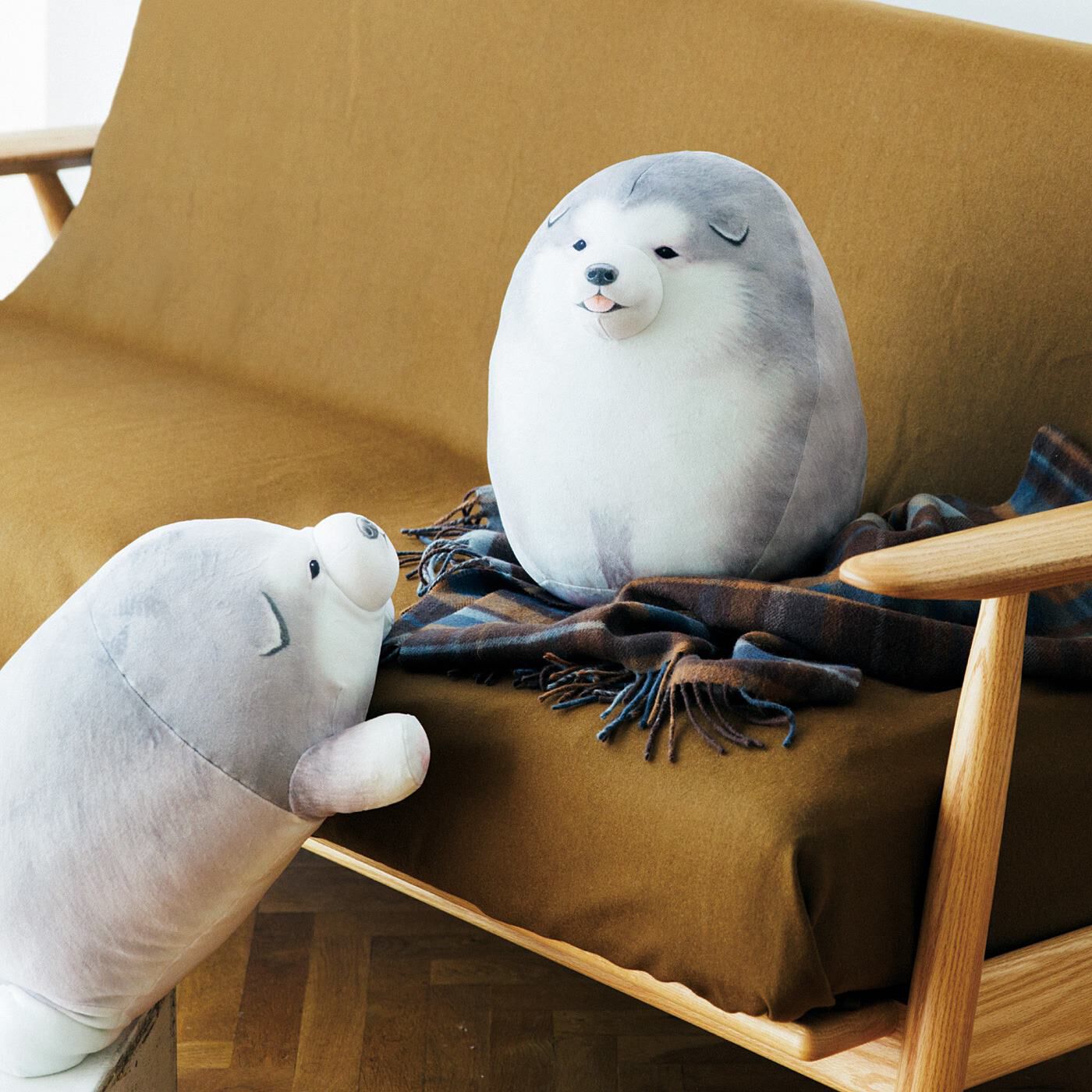 YOU＋MORE！［ユーモア］|YOU＋MORE!　まんまるころころ　アラスカンマラミュートの子犬実寸大クッションの会