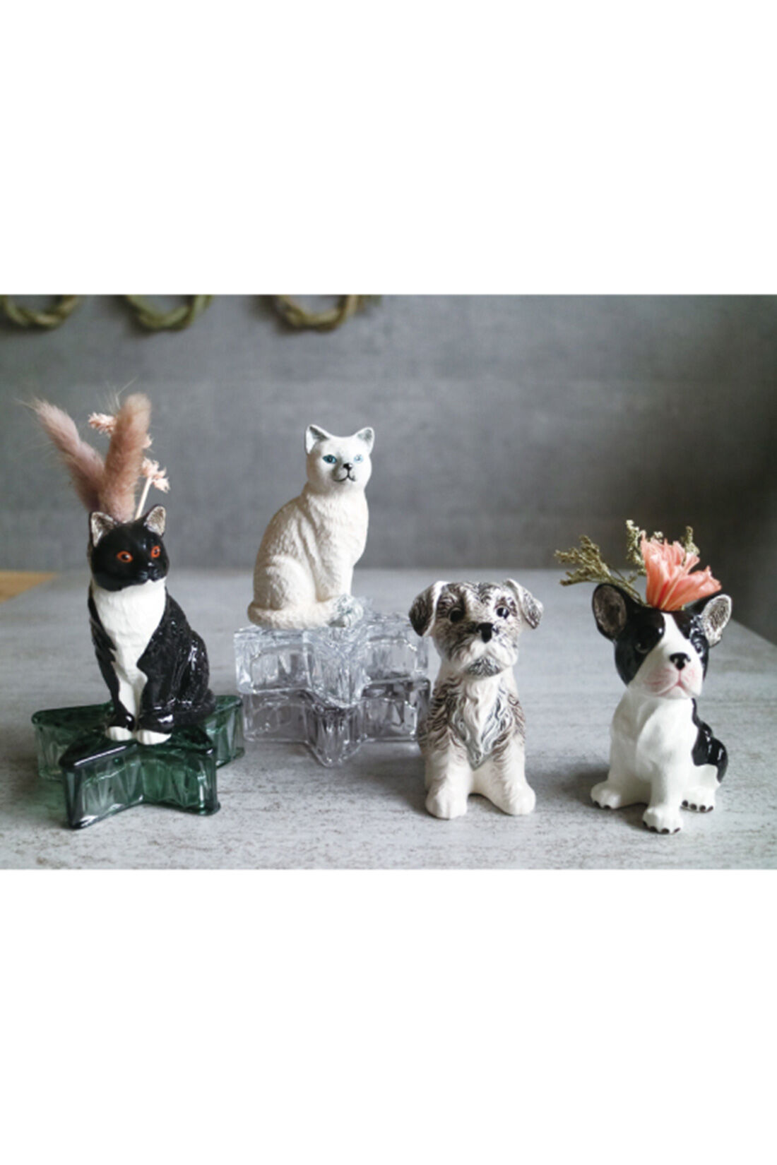 シロップ. 特急便|【3～10日でお届け】アニマルベース【シロップ．バスケット】