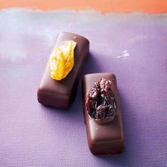 幸福のチョコレート | 試食チョコプチシュタインヴァンハウト