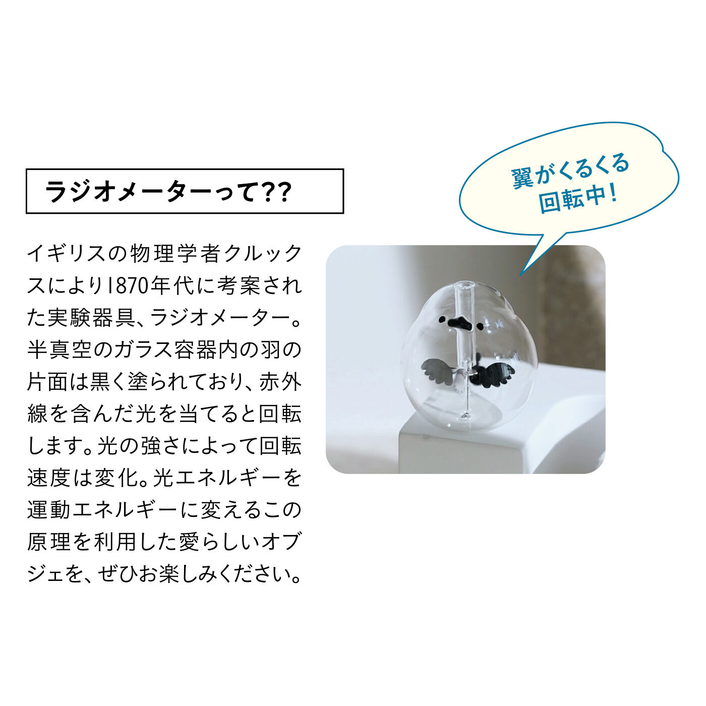 SeeMONO[シーモノ］|くるくる癒やしの三兄弟 ひなたぼっこするシマエナガのラジオメーターの会