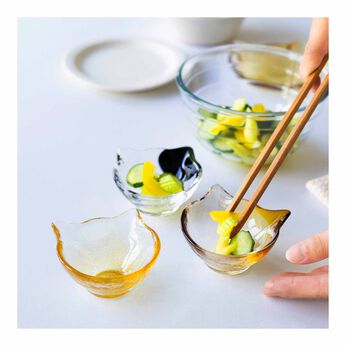 FELISSIMO PARTNERS | ココネコクラフト ガラスの豆鉢の会（5回予約）