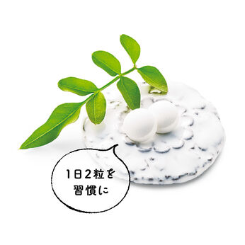 FELISSIMO PARTNERS | エーオープラス PG タブレット（機能性表示）の会