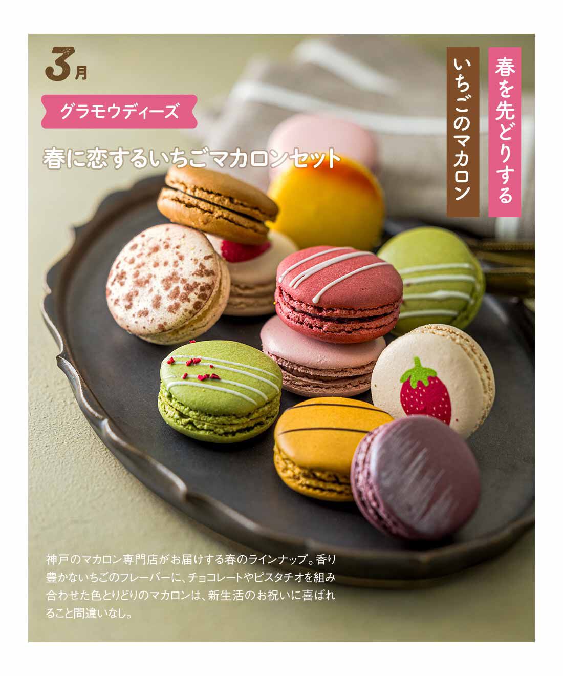 FP産地直送マルシェ|【締切2月2日】贈りものやごほうびに！ かわいい華みやげスイーツ6ヵ月コース|12個（1個あたり直径約4.2cm）　フレーズショコラブラン・フレーズショコラ・フレーズピスターシュ&times;各2個　キャラメルショコラサレ・カシスバイオレット・ゼスティーユズ・ミラノティラミス・ベリーベリーベリー・ヘーゼルナッツミルクチョコレート&times;各1個