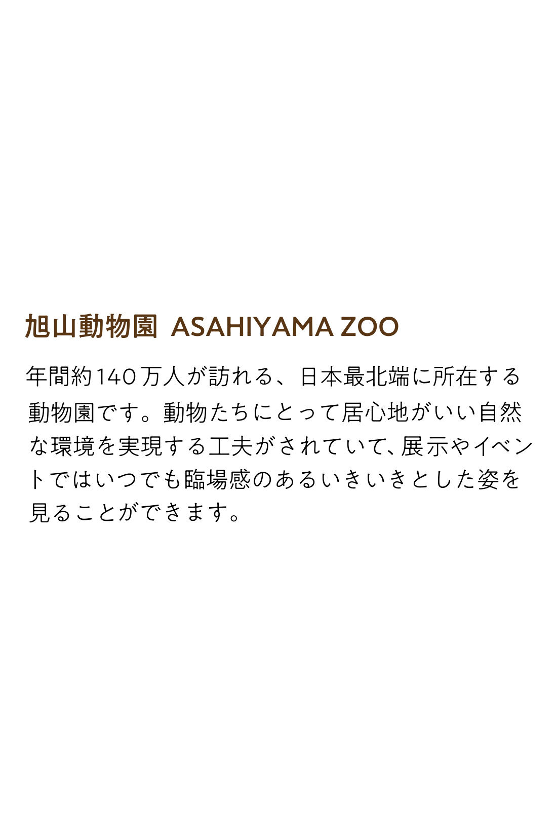 THREE FIFTY STANDARD［スリーフィフティースタンダード］|THREE FIFTY STANDARD 旭山動物園とボルネオの森応援商品 アニマルプリントソックスの会