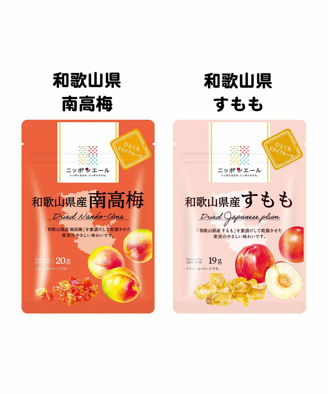 純農|純農 フルーツの魅力をぎゅっ！ ニッポンエール 国産果実のドライフルーツアソートの会（6回予約）