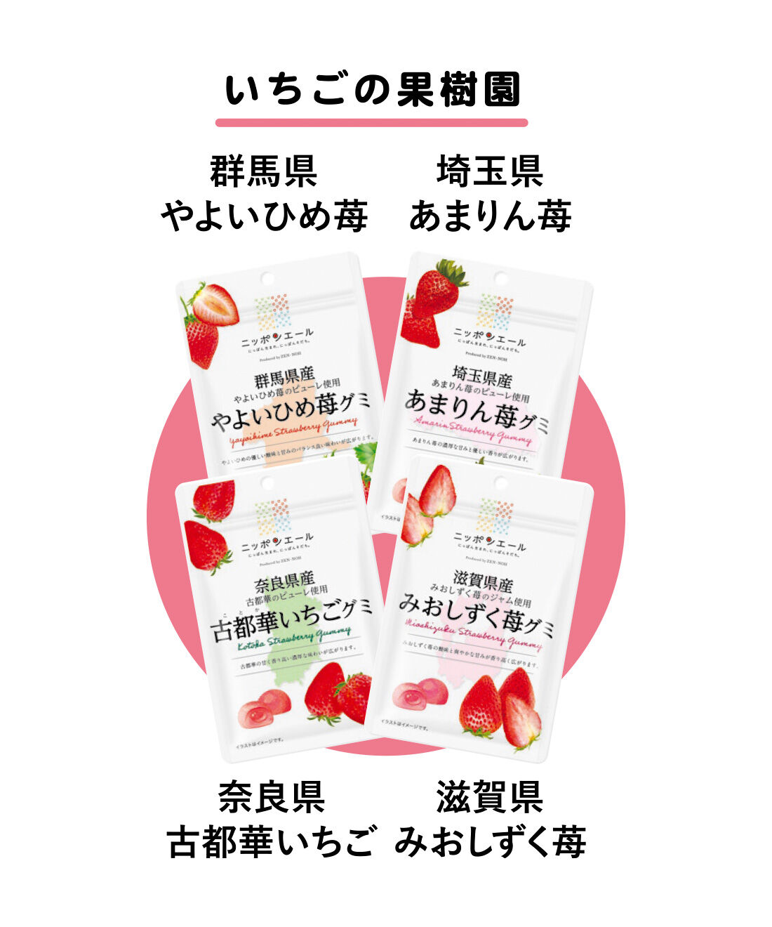 純農|純農 冬の果樹園ピクニック♪ 県産果物を食べくらべグミの会 私にごほうび月8袋コース（4ヵ月予約）