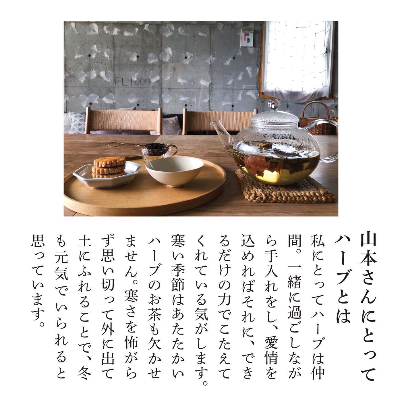 el:ment［エルメント］|el:ment×山本祐布子　あたためハーブ柄をまとう 軽くてふんわり 肌当たりやさしい ウール100％ロングストールの会