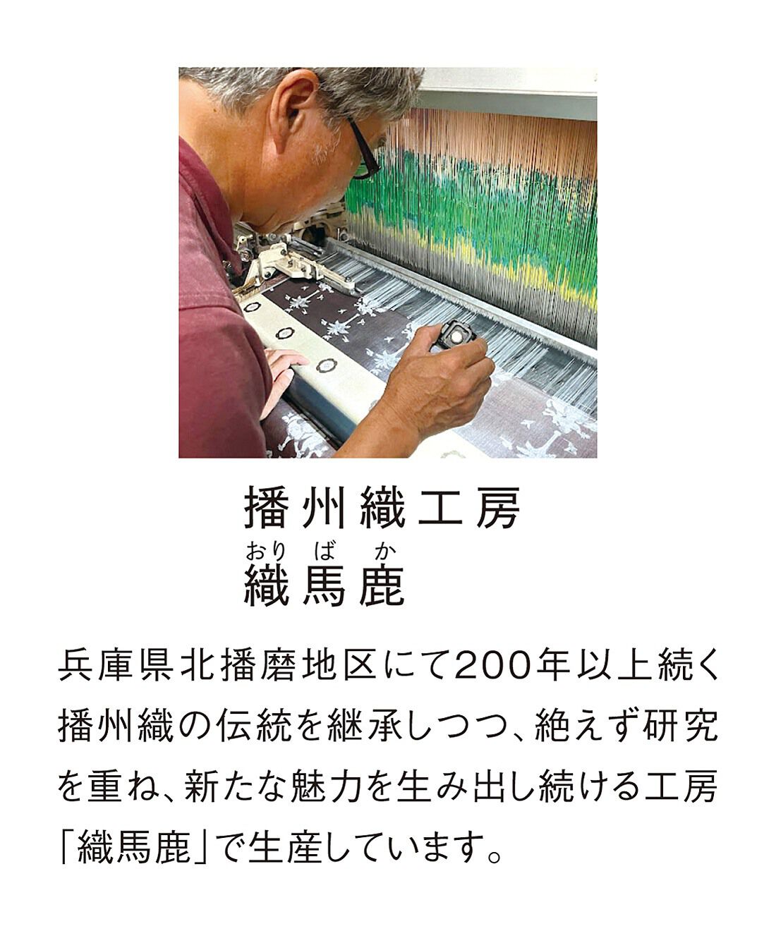 ミュージアム部|正倉院展×ミュージアム部　天平の調べを播州織で紡ぐ　螺鈿紫檀五絃琵琶ストール