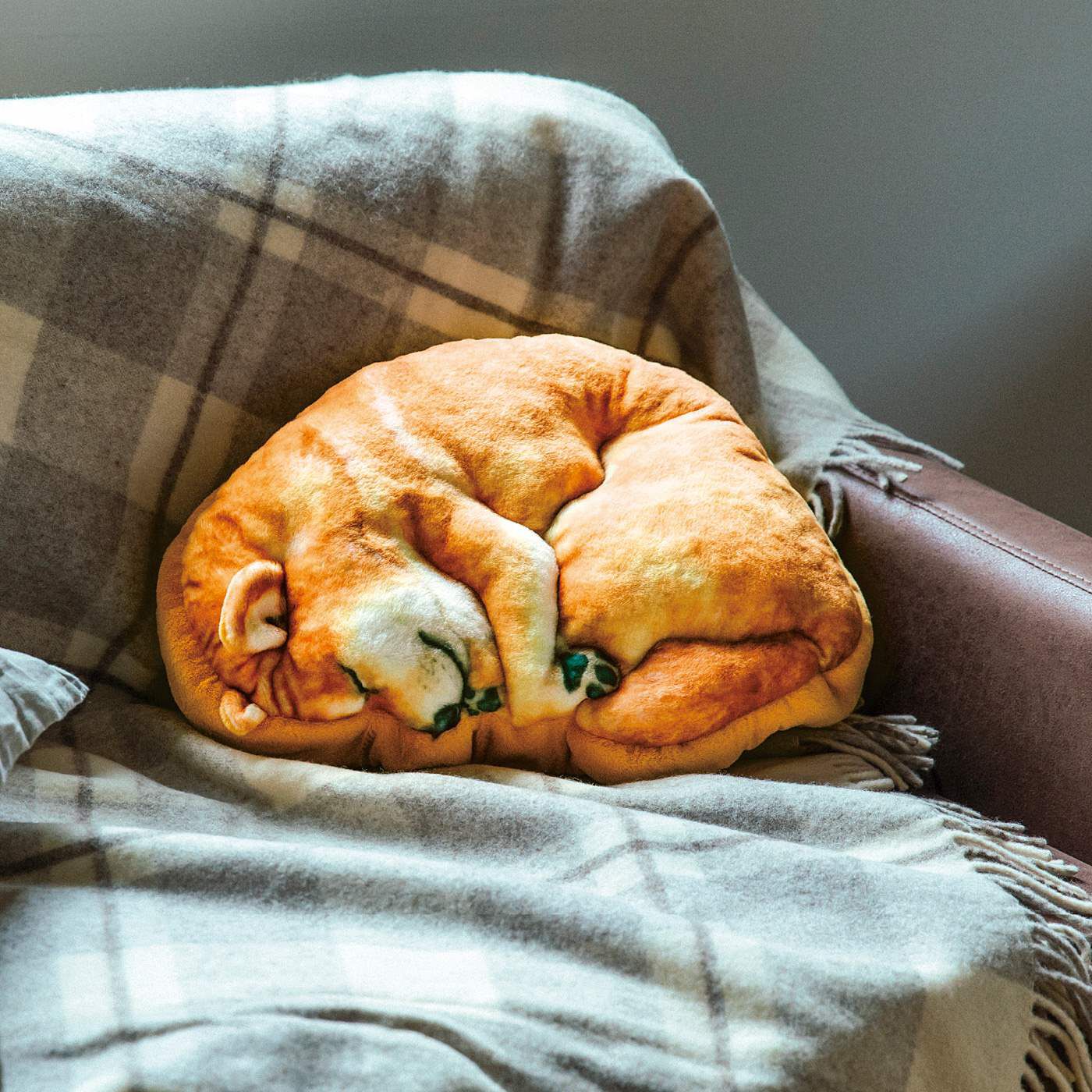 フェリシモギフトショップ|YOU＋MORE!　あったかイーヌ　柴犬クッションケース