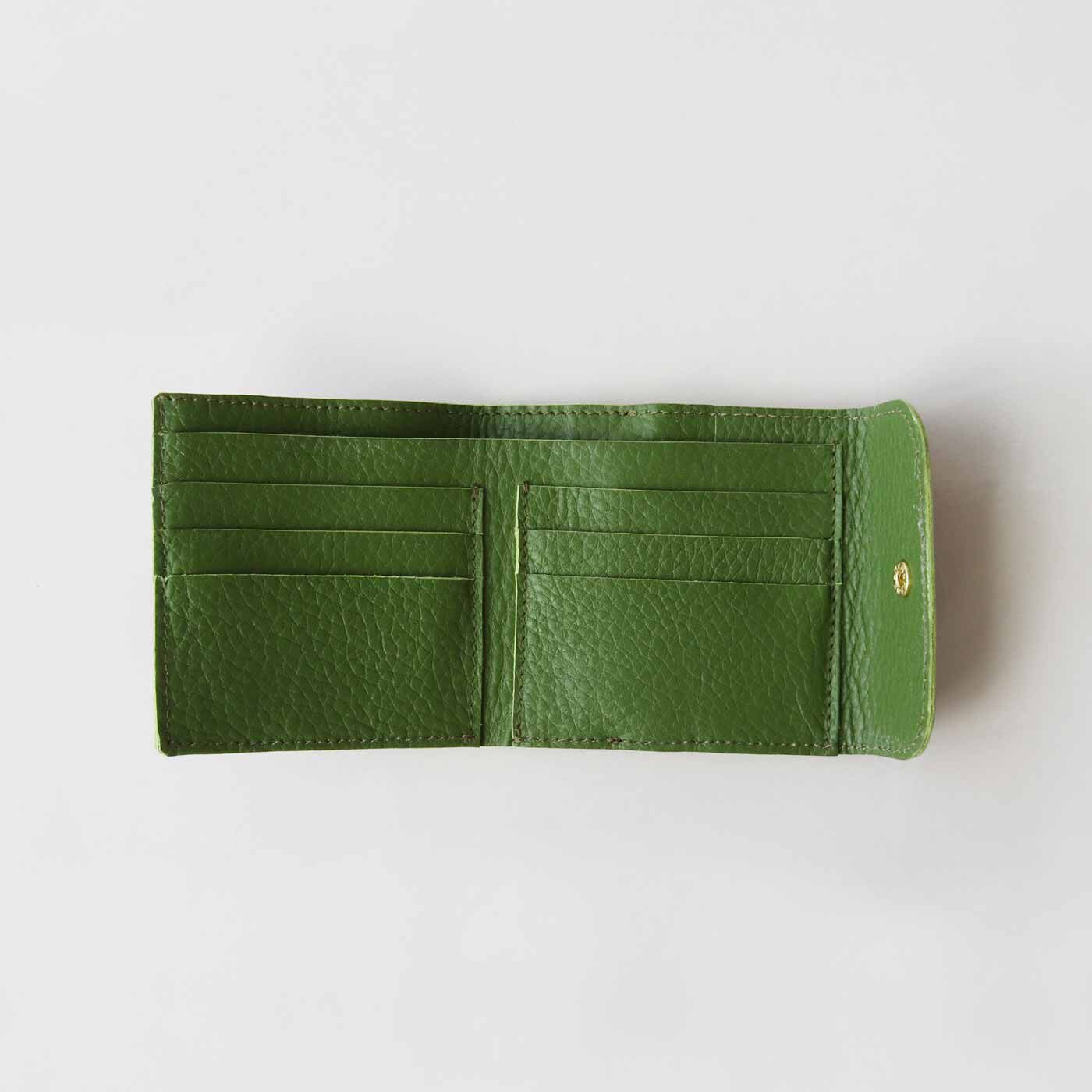フェリシモギフトショップ|福岡の鞄作家が作った 職人本革のエンベロープウォレット〈スモーキーグリーン〉|カードポケットは6室でたっぷり収納。