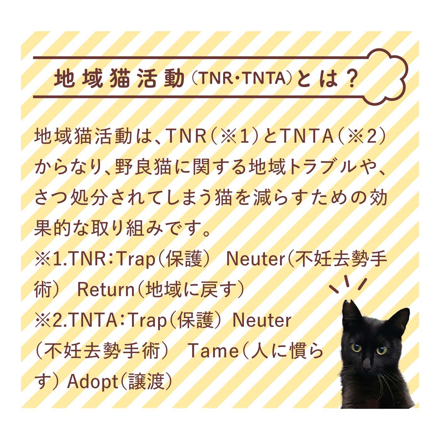 フェリシモギフトショップ|くまみね&times;猫部　地域猫チャリティーTシャツ2025