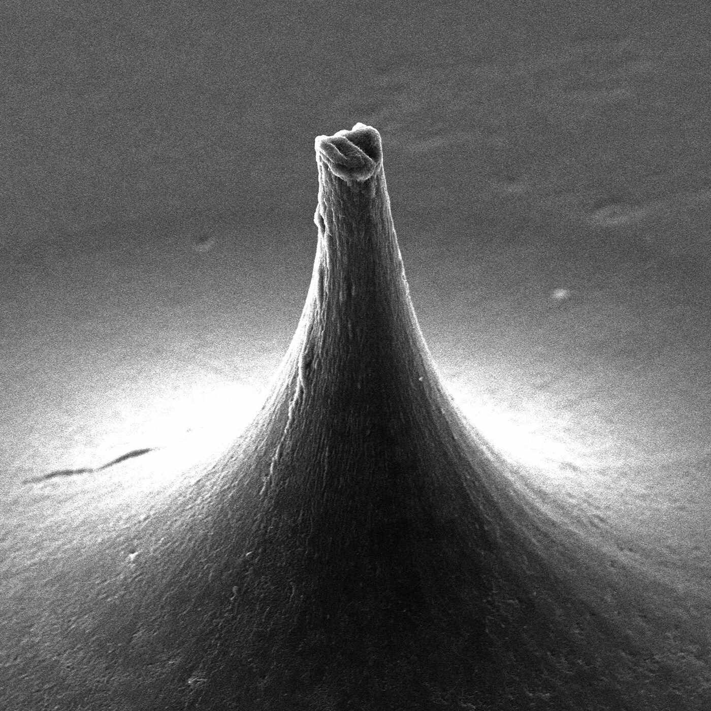 フェリシモギフトショップ|モットラボ　ダーマフィラー〈1回分〉|底辺から先端まで約200&mu;m。角質層へ効果的に美容成分を届けるために考え抜かれた特殊形状をしています。根もとは富士山の形にして細い先端部を支え、確実に角質層内に刺すことを可能にしています。