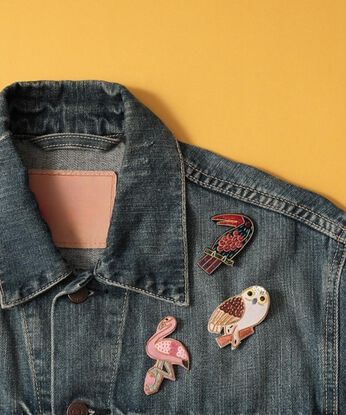 mensha! | ザリ刺しゅうブローチ〈オニオオハシ〉