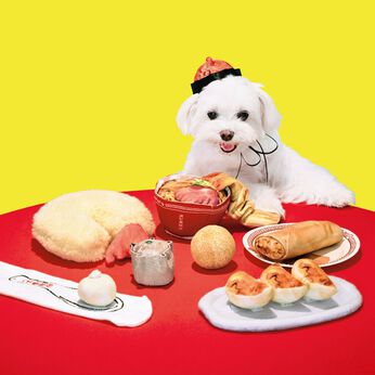 フェリシモの雑貨Kraso［クラソ］ | わんこのための本格中華犬七番飯店の会