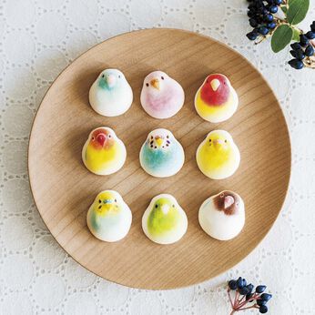フェリシモの雑貨Kraso［クラソ］ | 和風マシュマロ インコのほうずいチョコ餡