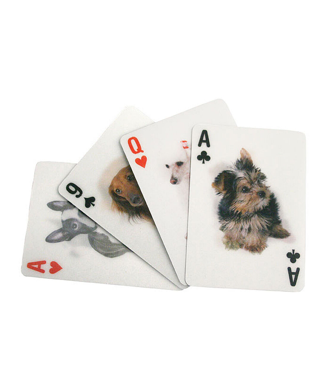 フェリシモの雑貨 Kraso|3D Dog Cards 3Dドッグカード