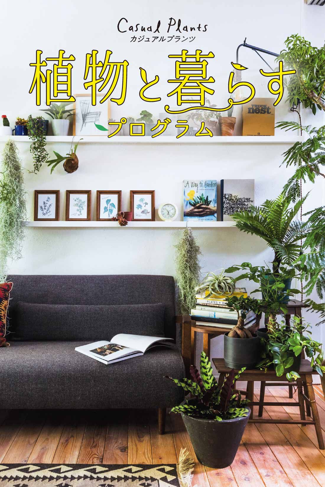 ミニツク|【総額9,240円OFF】カジュアルプランツのきほん 植物とくらすプログラム［12回予約プログラム］