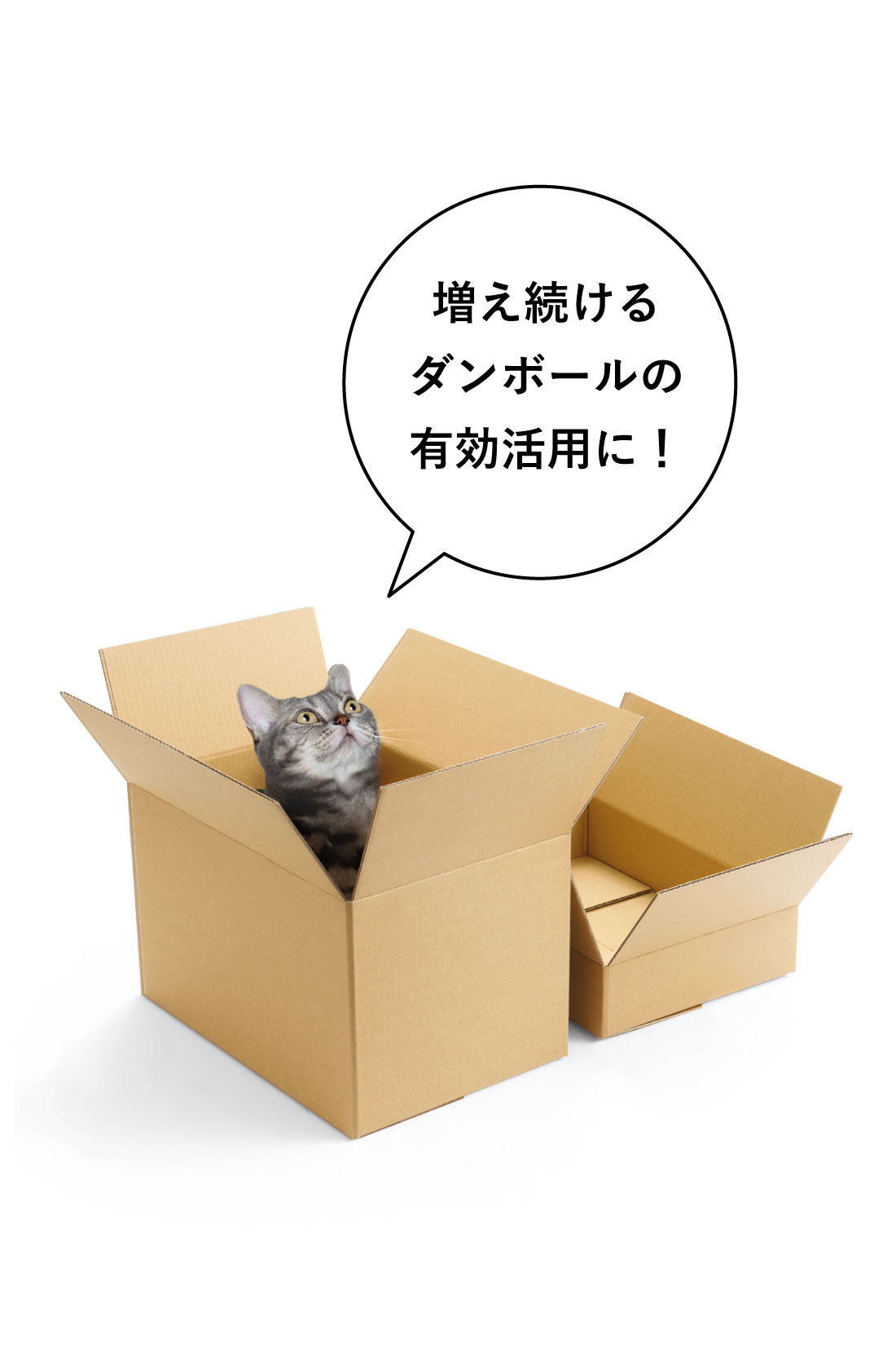 ミニツク|【初月10％OFF】私にぴったりカスタマイズ！  気分はプチDIY いっぱい作れるミニ収納 段ボールクラフトプログラム［6回予約プログラム］