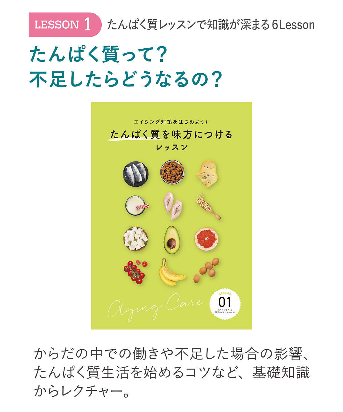 ミニツク|エイジング対策をはじめよう！ たんぱく質を味方につけるレッスンプログラム ［6回予約プログラム］